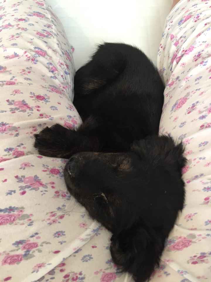 E la famiglia si allarga! - 1