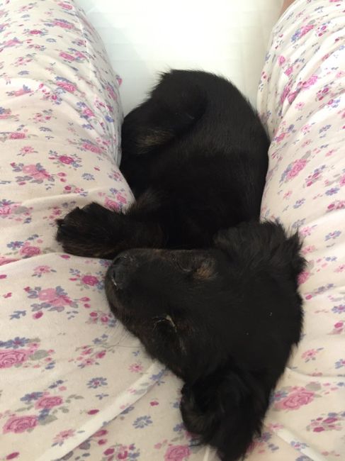 E la famiglia si allarga! - 1