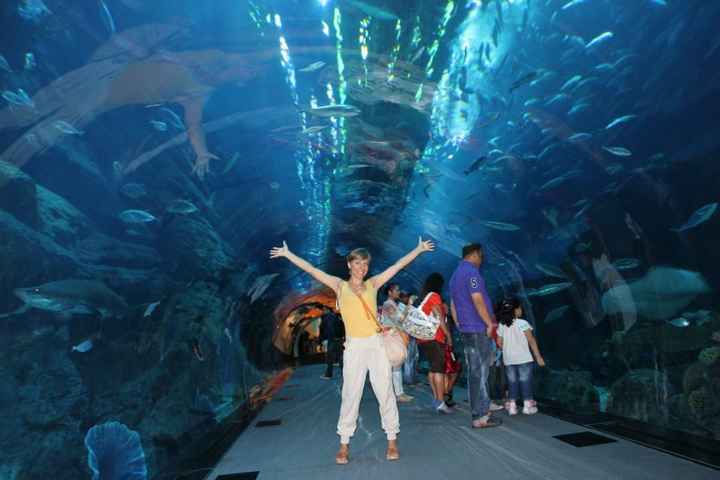 kln vls nvslv nsl vnsl vnsdiiiiiii