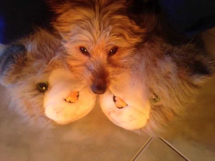 Eccomi cresciuta  - 1