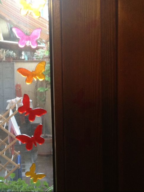 Farfalle alla finestra 2