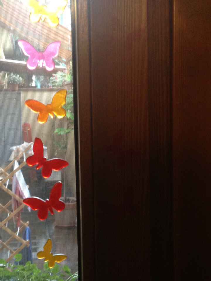 Farfalle alla finestra 2