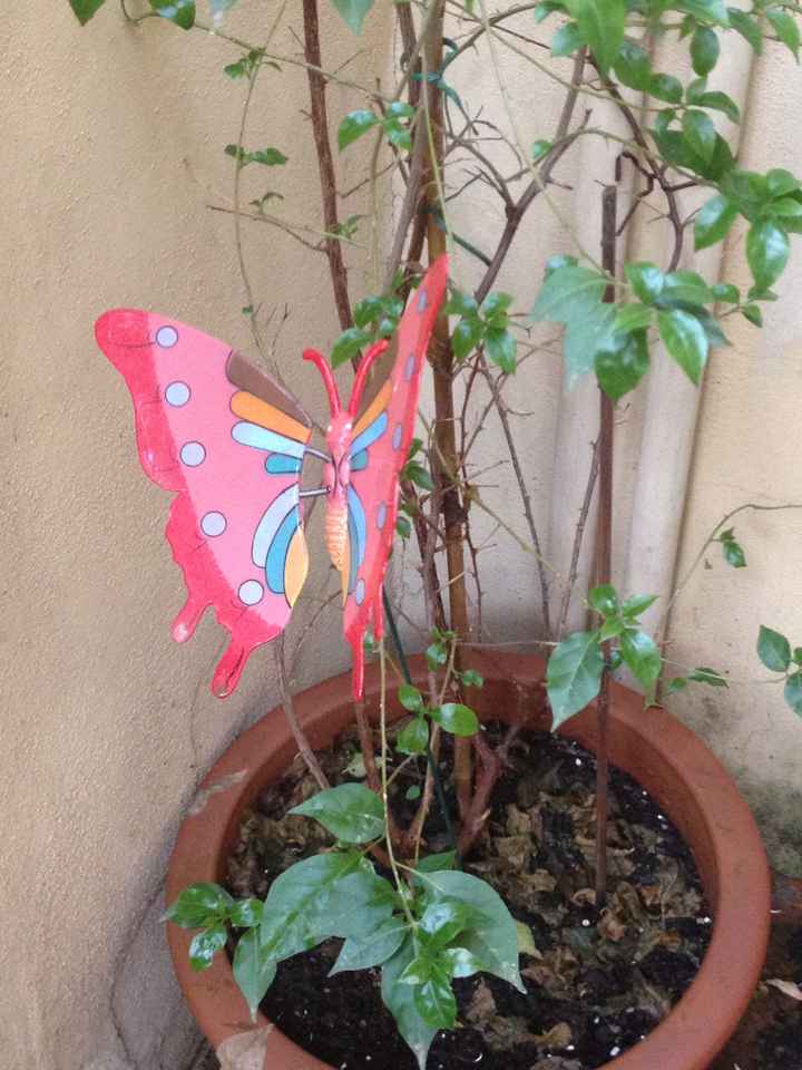 Farfalla in terrazzo