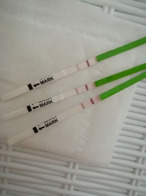 -4al ciclo test d’ovulazione azzardato - 1