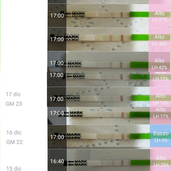 Chi non le aspetta per Dicembre 2020 🍀❣️🎄🎁🎀🌠 1