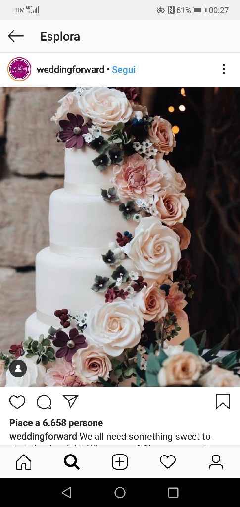 Scelta della torta - 1