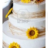 Quanto costa la torta? - 1