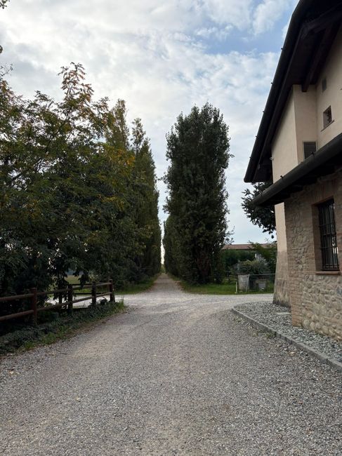 Tenuta Cascina Canova Sempre nel cuore. 6