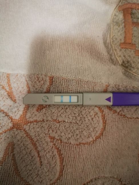 Test ovulazione come test precoce gravidanza.. 1