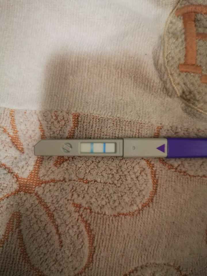 Test ovulazione come test precoce gravidanza.. - 1