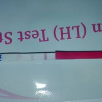 Chi non le aspetta a marzo!! - 1