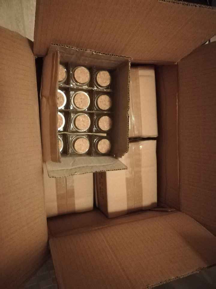 Si comincia fai da me - 1