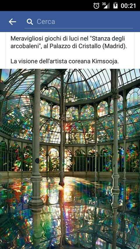 Viaggio di nozze... un sogno che si avvera! - 1