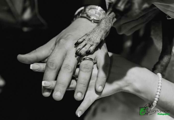 Finalmente marito&moglie - 4