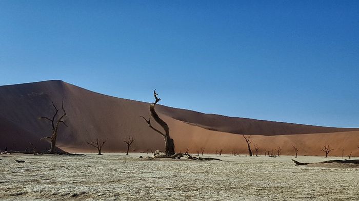 namibia