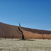 namibia