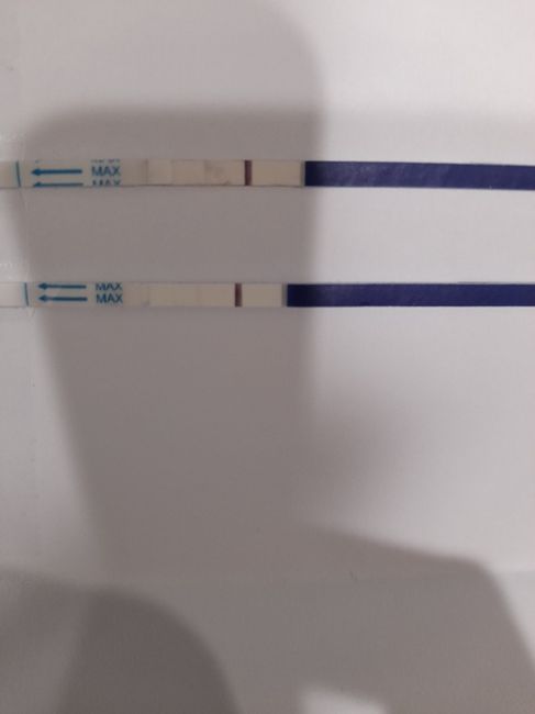 Chi non le aspetta per Marzo 2025 🍀🌸💐🌺 - 1