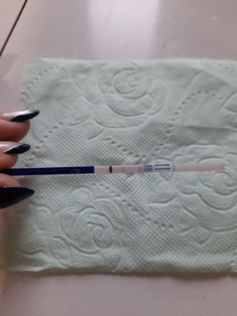 Chi non le aspetta per Marzo 2025 🍀🌸💐🌺 - 1