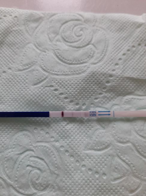 Chi non le aspetta per Marzo 2025 🍀🌸💐🌺 - 2