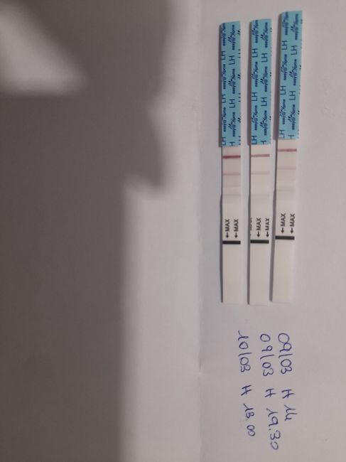 Chi non le aspetta per Marzo 2025 🍀🌸💐🌺 - 1