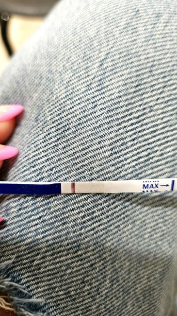 Chi non le aspetta per maggio 2025 🍀🌸🌺💐🌻 1