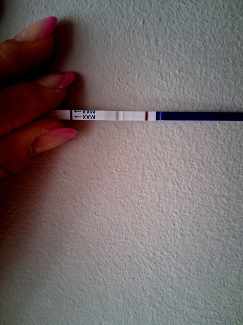 Chi non le aspetta per maggio 2025 🍀🌸🌺💐🌻 3