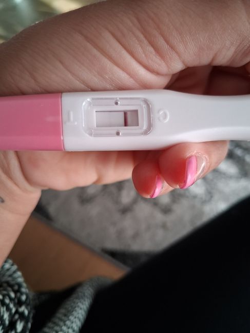 Chi non le aspetta per maggio 2025 🍀🌸🌺💐🌻 1