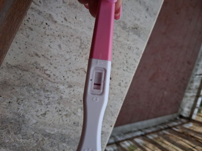 Chi non le aspetta per maggio 2025 🍀🌸🌺💐🌻 2