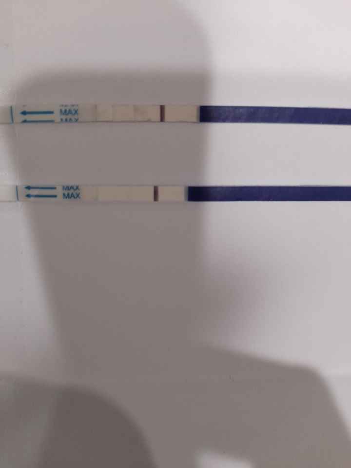 Chi non le aspetta per Marzo 2025 🍀🌸💐🌺 - 1