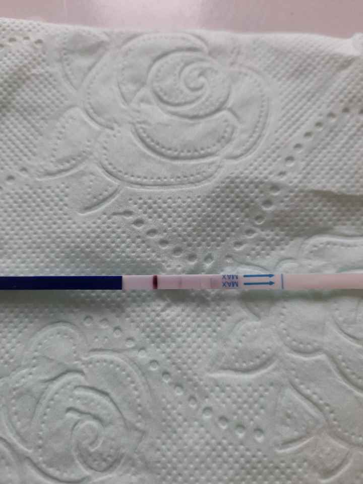 Chi non le aspetta per Marzo 2025 🍀🌸💐🌺 - 2