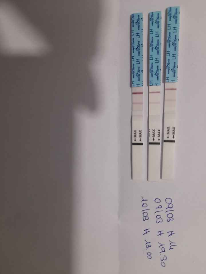 Chi non le aspetta per Marzo 2025 🍀🌸💐🌺 - 1