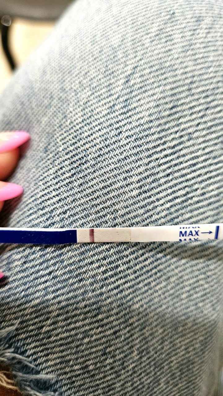 Chi non le aspetta per maggio 2025 🍀🌸🌺💐🌻 - 1