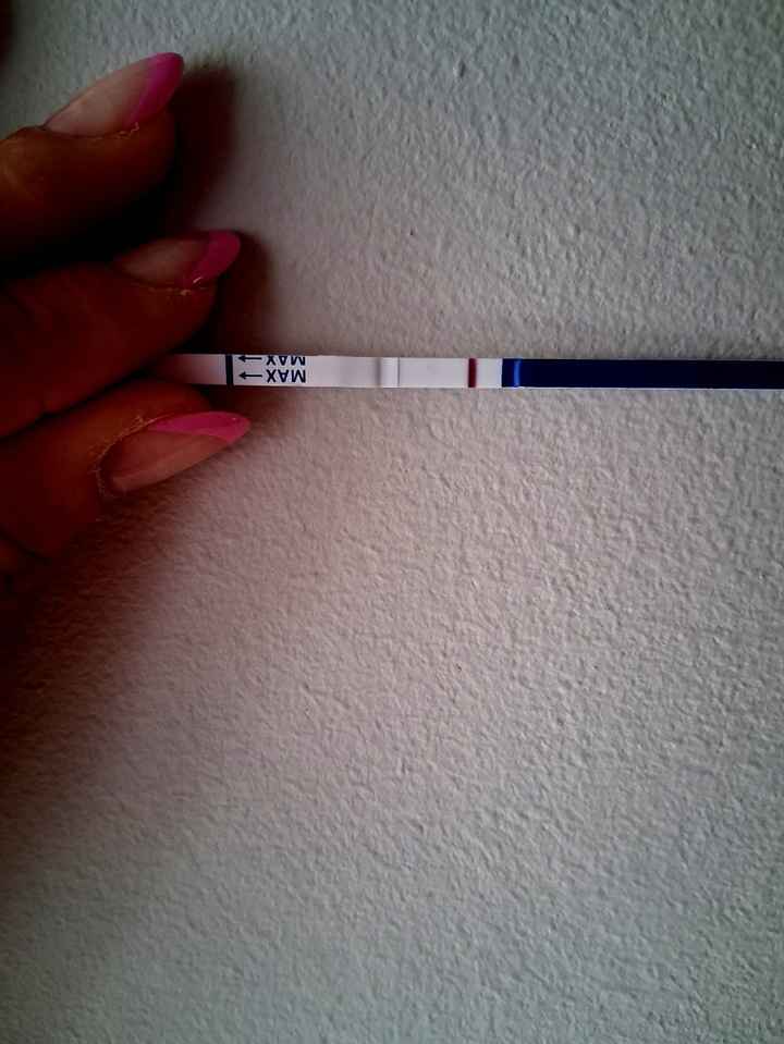 Chi non le aspetta per maggio 2025 🍀🌸🌺💐🌻 - 1