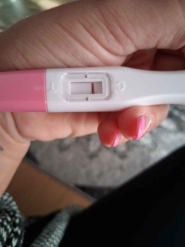 Chi non le aspetta per maggio 2025 🍀🌸🌺💐🌻 - 1