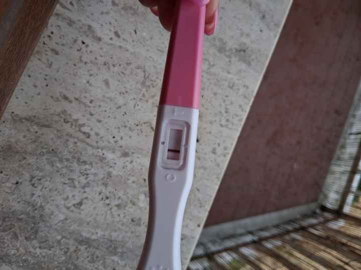 Chi non le aspetta per maggio 2025 🍀🌸🌺💐🌻 - 2