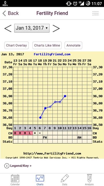 Termometro per tb basale e stick ovulazione 2