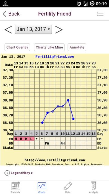 Termometro per tb basale e stick ovulazione - 2