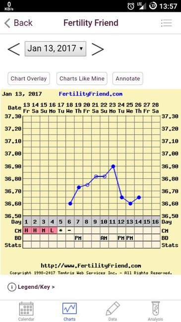 Termometro per tb basale e stick ovulazione 1