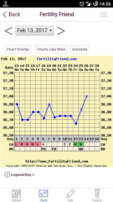 Il mio grafico tb - 2