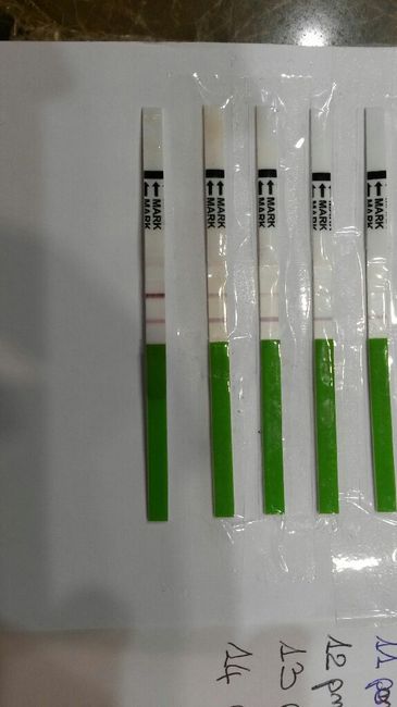 Il mio grafico tb - 1