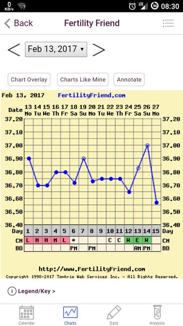 Il mio grafico tb - 2