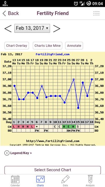 Il mio grafico tb 2