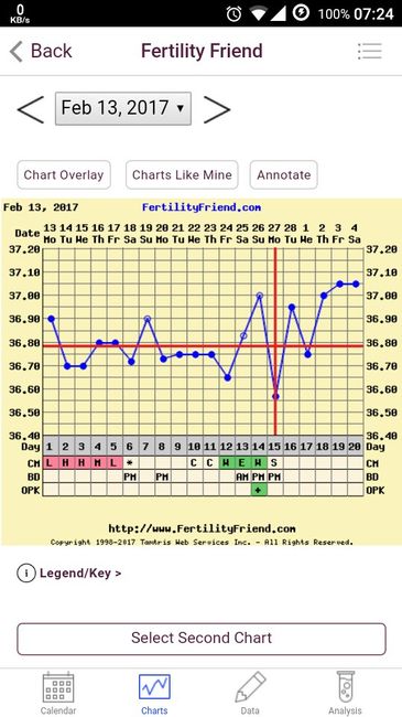 Il mio grafico tb 1