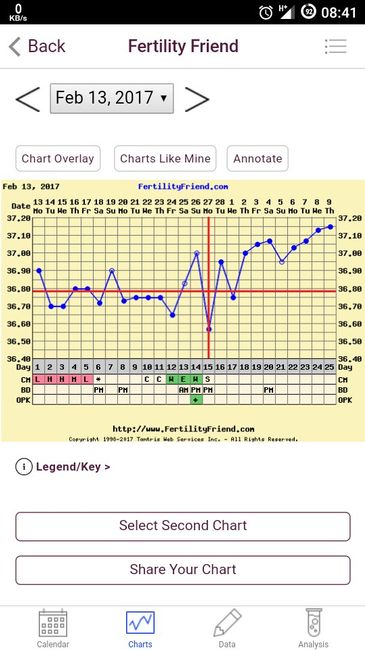 Il mio grafico tb - 1