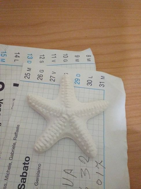 gessetto a forma di stella marina 