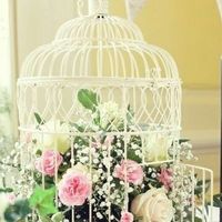 Colori bianco e rosa chiaro - 2