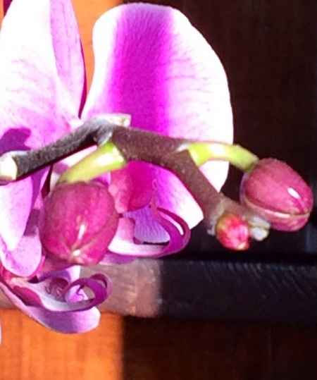 🌷🌷🌷🌷🌷🌷🌷