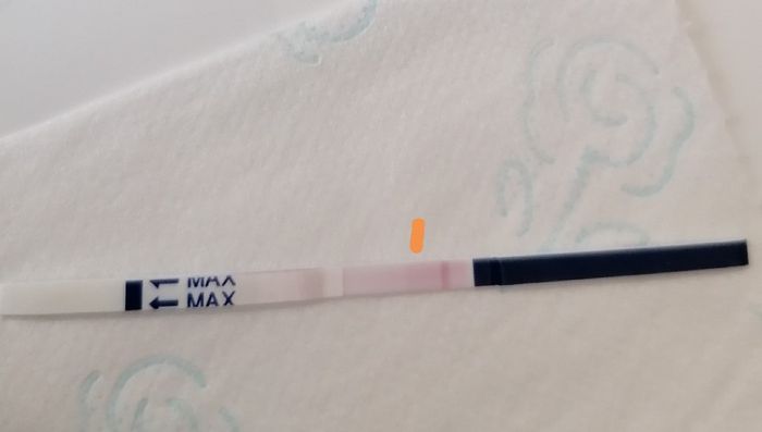 Positivo o negativo? 6