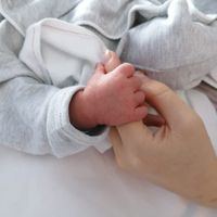 Scollamento delle membrane. - 1