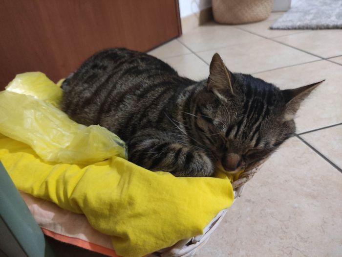 Tutto prende forma 🌿🤍 - 1